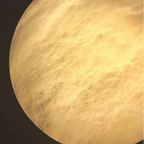 Kyvo Italian Alabaster Moon Wall Sconce - Lumovique